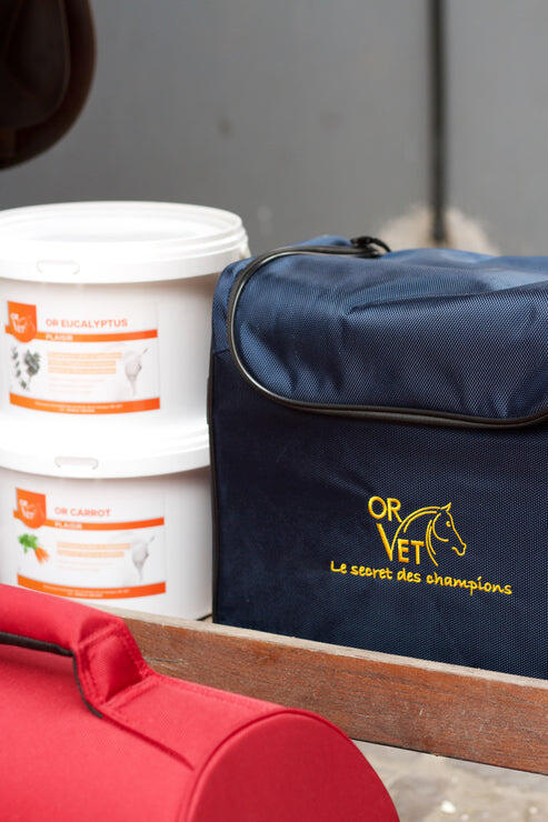 OR BAG - Sac de rangement pour produits 2/2