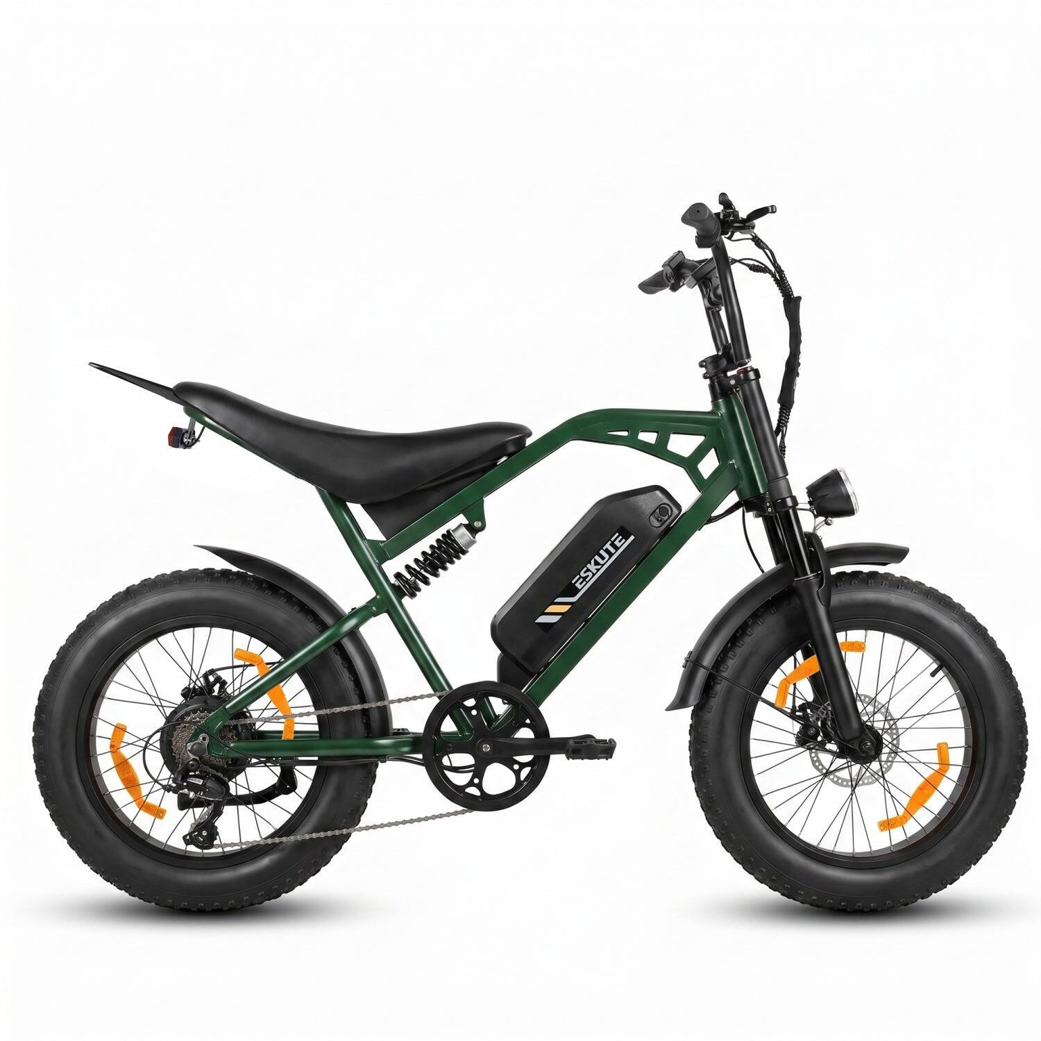 Elektrische Motorfiets ESKUTE V202 250W 48V20.8Ah 20" Accessoires Groen 5/5