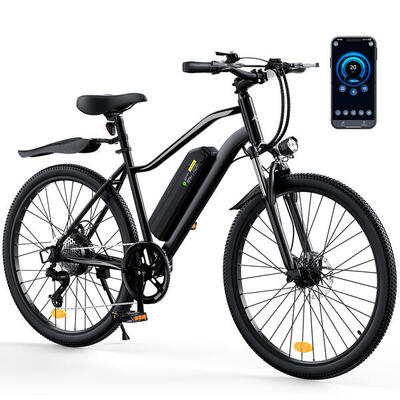 Iscooter eb3s all-terrain elektrische fiets 26" ebike