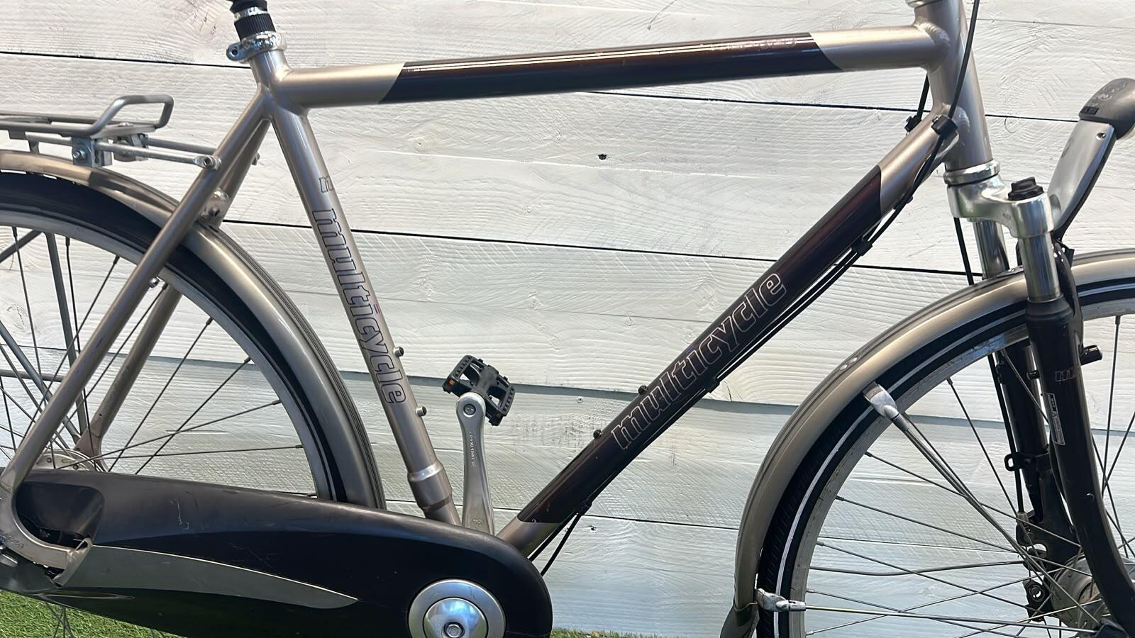 MULTICYCLE picture