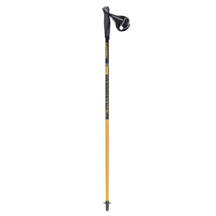 Kije Nordic Walking Masters PHYSIQUE 0.1 CARBON 135 cm