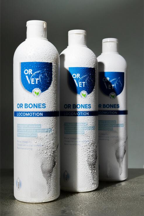 OR BONES 2/2