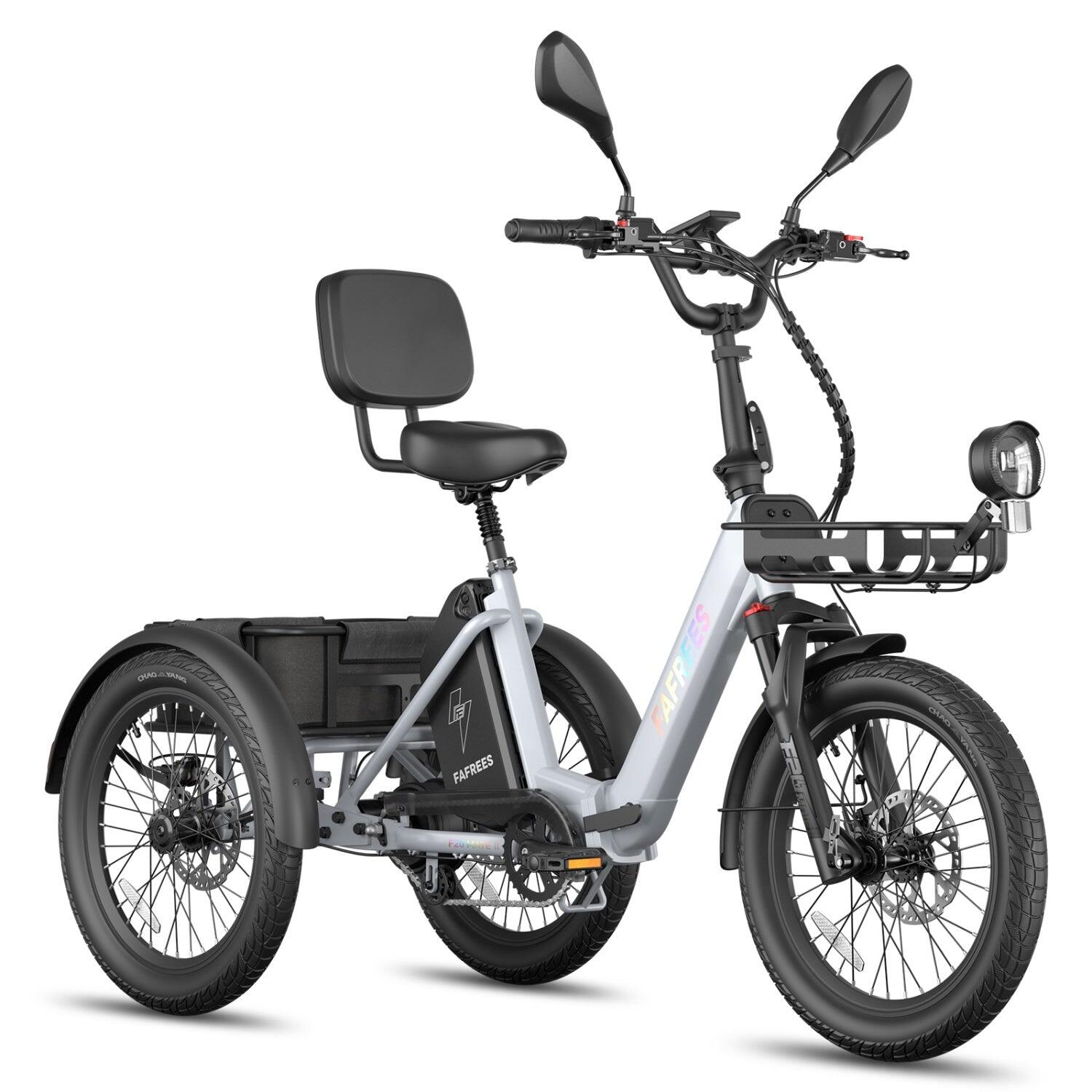 FAFREES F20 Mate II Elektrische fiets 250W 48V21AH 20" Zilvergrijs 2/5