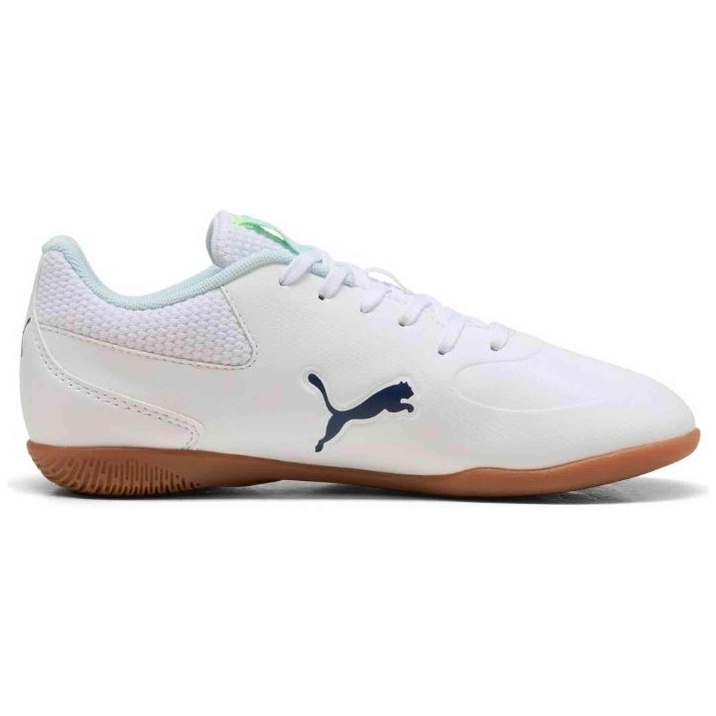 PUMA picture