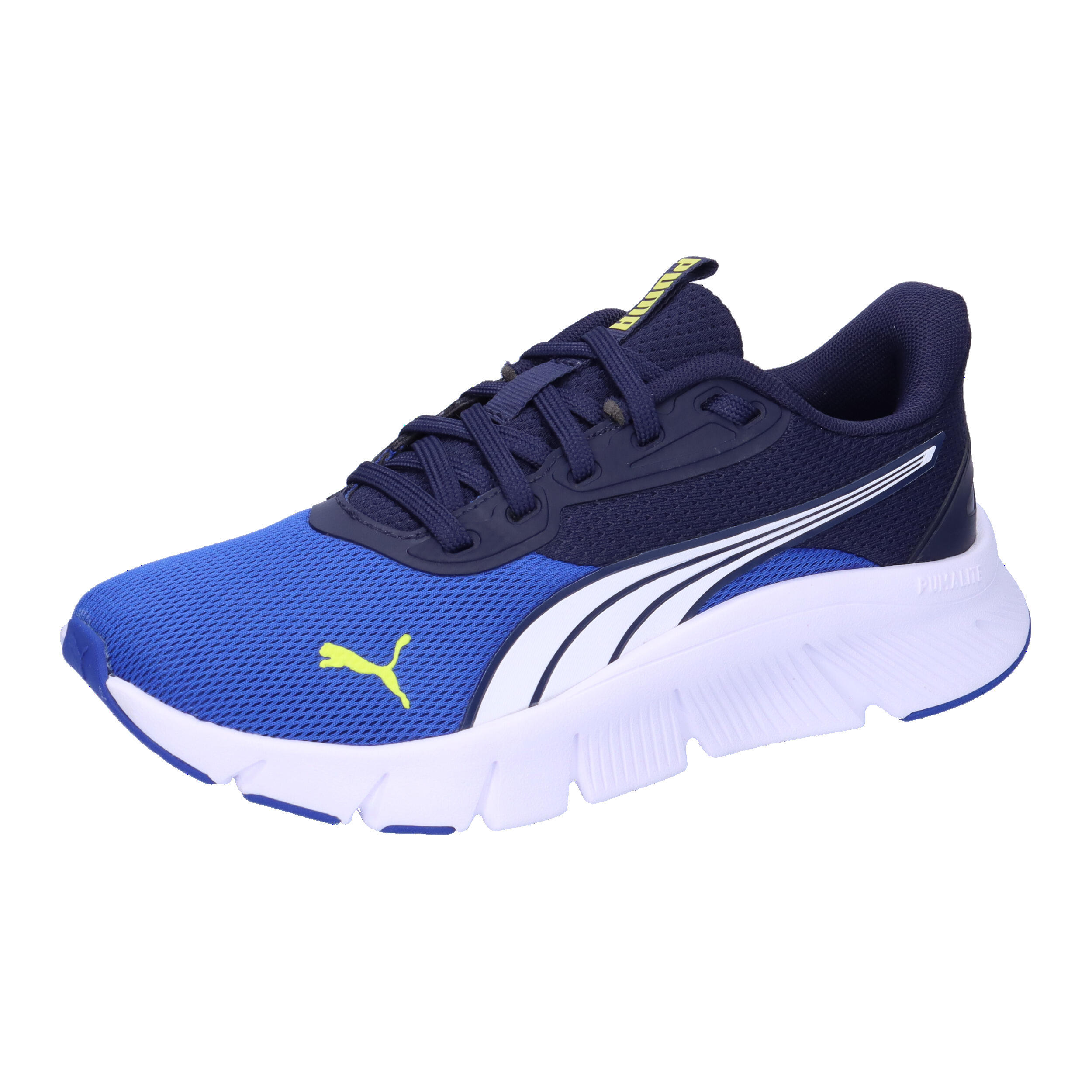 PUMA picture