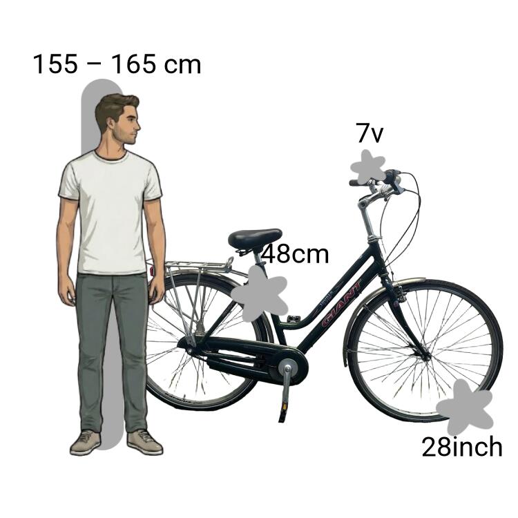 Bicicletta usata Giant Tourer 2/4