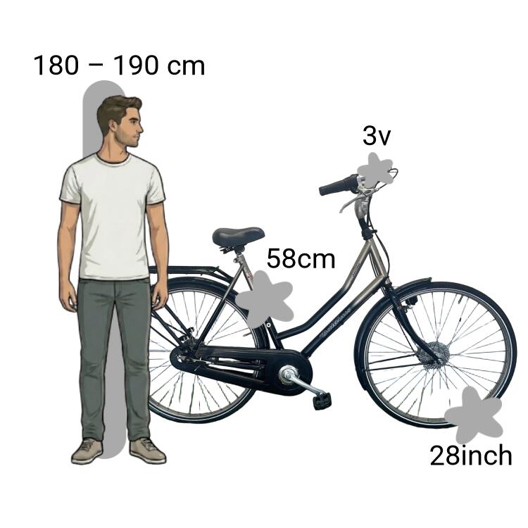 Vélo d’occasion Batavus Ancona 2/4