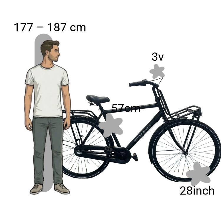Bicicletta usata Cortina Milo 2/4