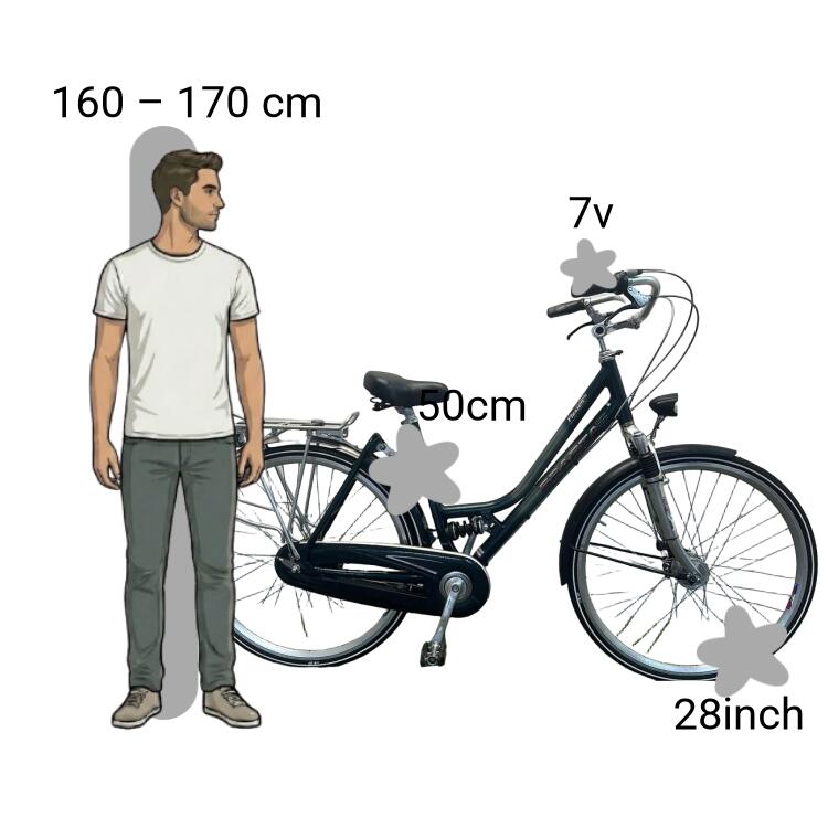 camper van mercedes sprinter 144 Conversion Kit Category:Crossrad_Selle Royal Ariel Größe:43cm دانلود بازی Gears Tactics
