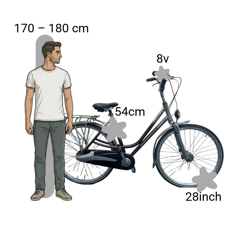 Bicicleta usada Batavus Staccato 2/4