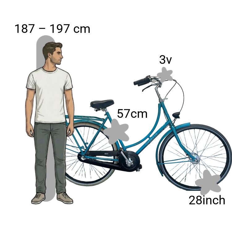 Tweedehands Gazelle 2/4