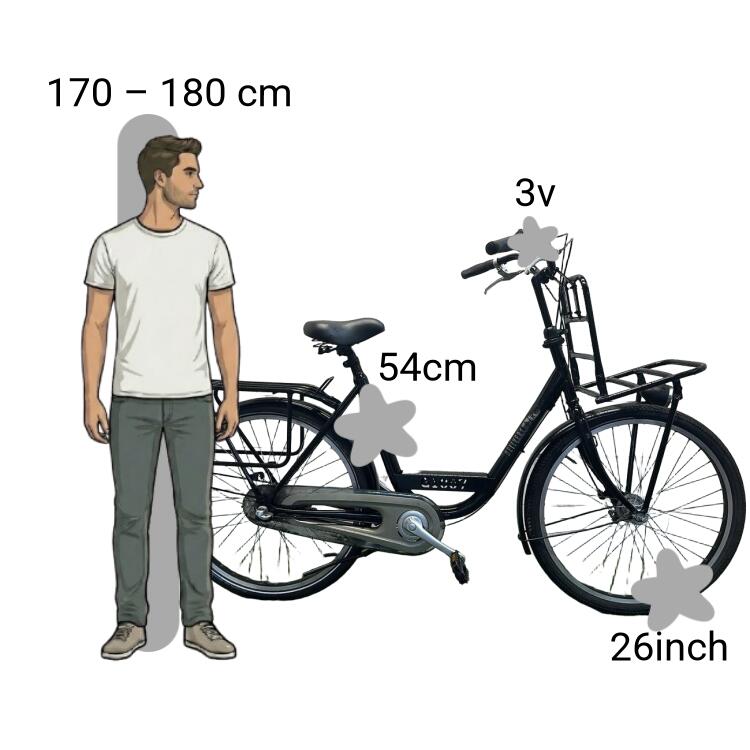 Bicicleta usada Batavus Personal Bike 2/4