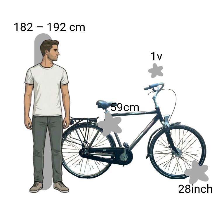 Gebraucht Sparta Pallas 28inch 59cm 2/4