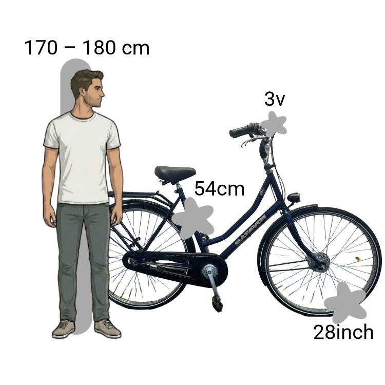 Bicicleta usada Batavus Live 2/4