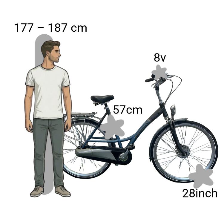 Bicicleta usada Batavus Staccato 2/4