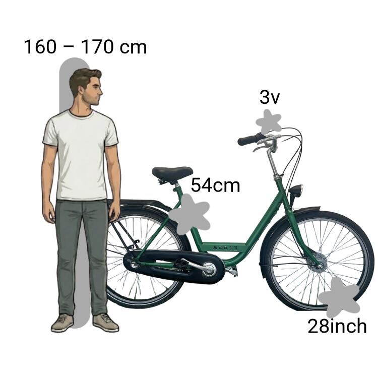 Bicicleta usada Batavus 2/4