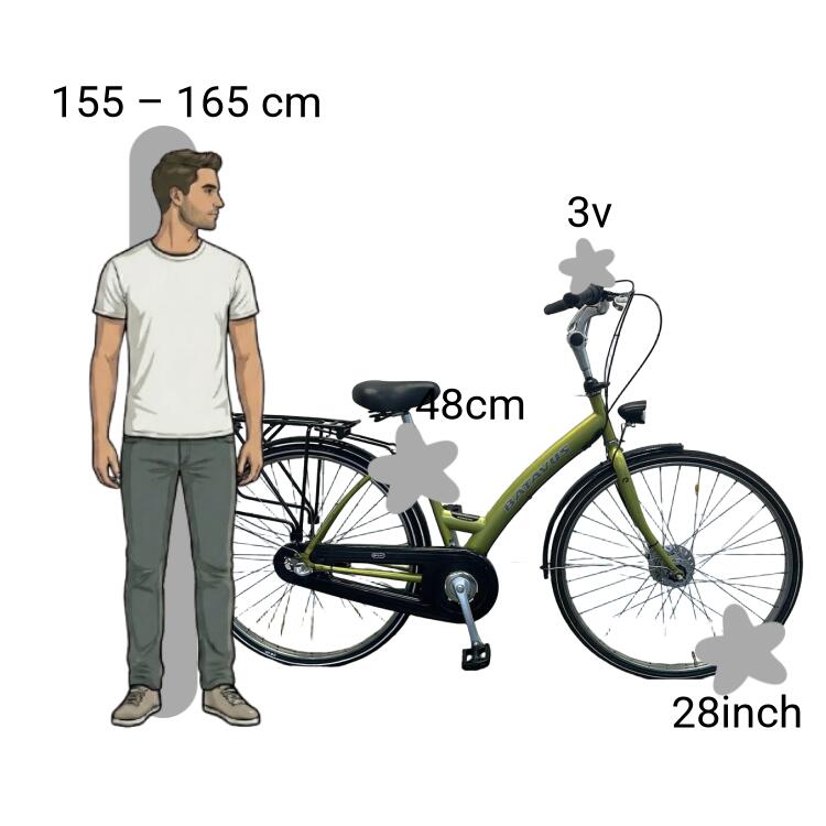 Bicicleta usada Batavus Live 2/4