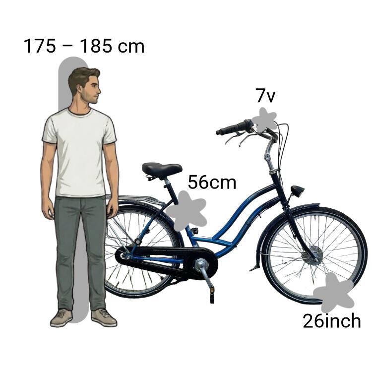 Bicicleta usada Sparta Amazoon Moederfiets 2/4