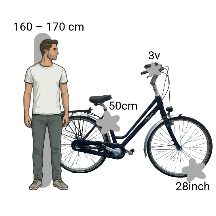 Bicicleta usada Stella Vicenza 2/4