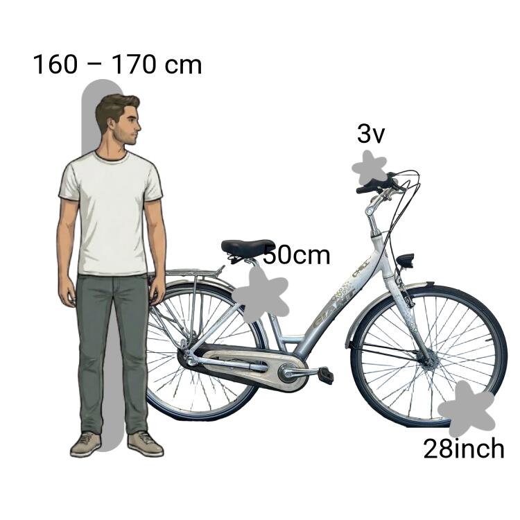 Bicicletta usata Giant Chill 2/4
