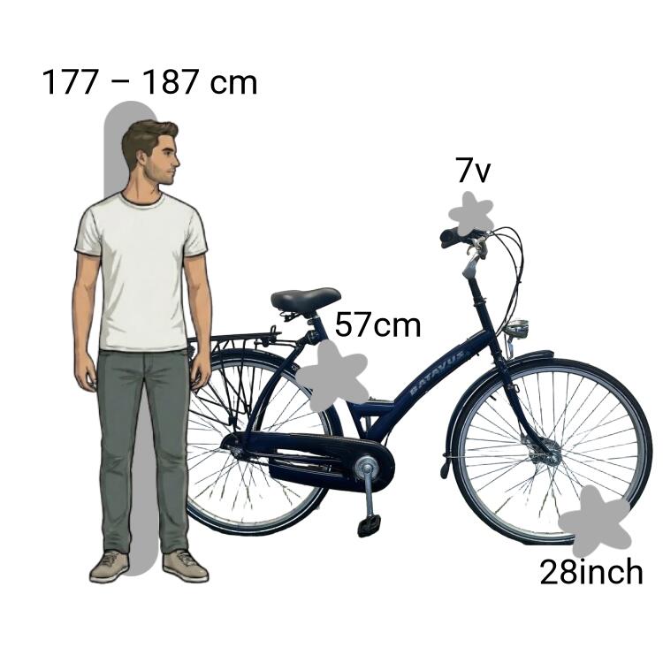 Bicicleta usada Batavus Padova 2/4