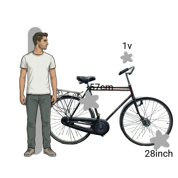 Bicicletta usata Giant 2/4