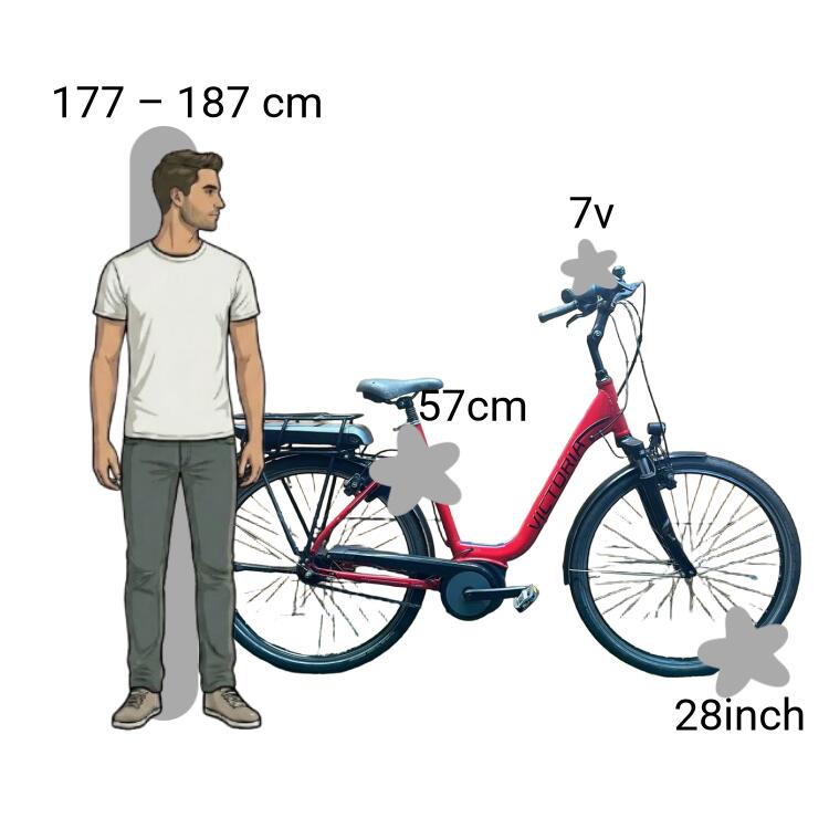 Bicicleta usada Victoria E-Trekking 5.5 Sec 2/4