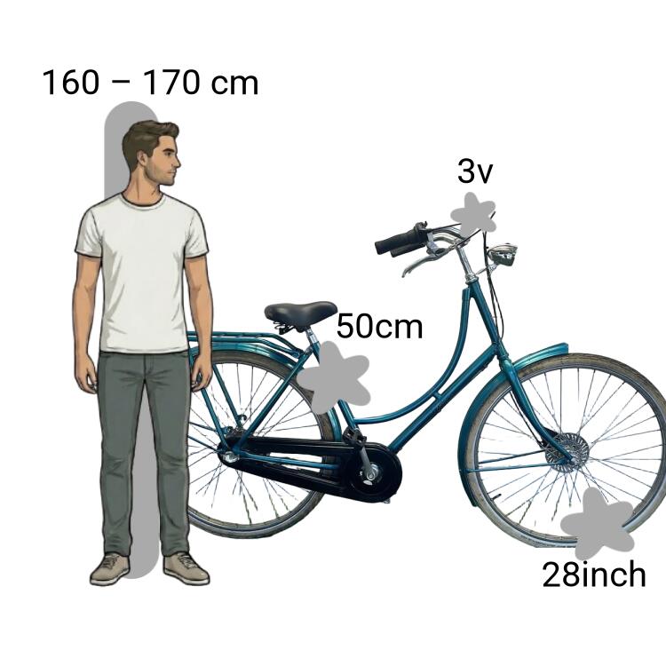 Bicicleta usada Batavus Old Dutch 2/4