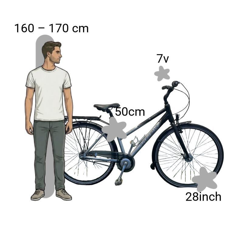 Bicicletta usata Trek S420 Navigator 2/4