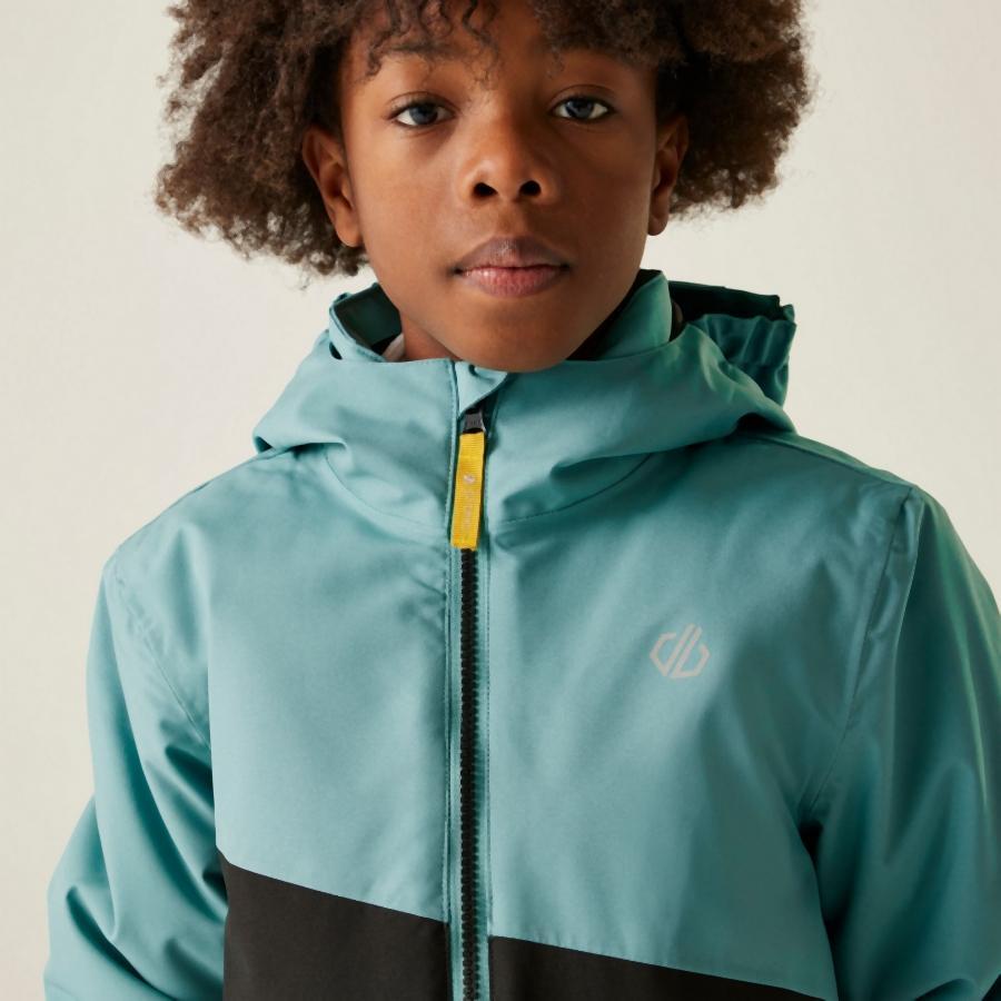 Children's ski jacket Dare 2B Snow Basher 3/7