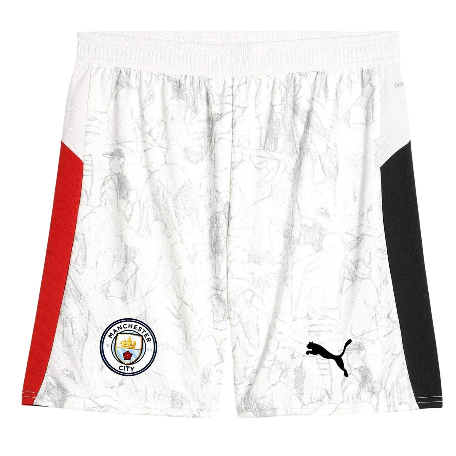Puma Unisex Adult Manchester City FC Football Shorts
