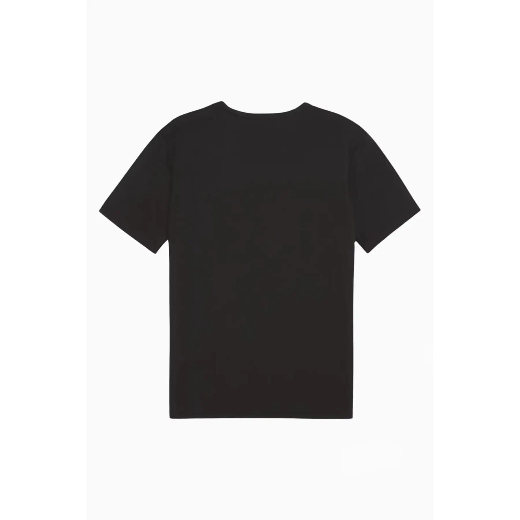 Camisola para crianças Puma Teamrise 2/3