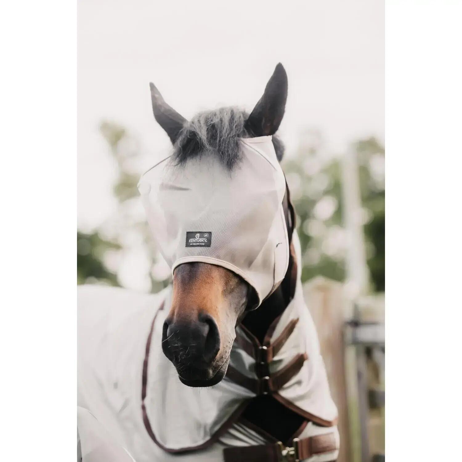 Fly mask classic without ears beige cob 2/6