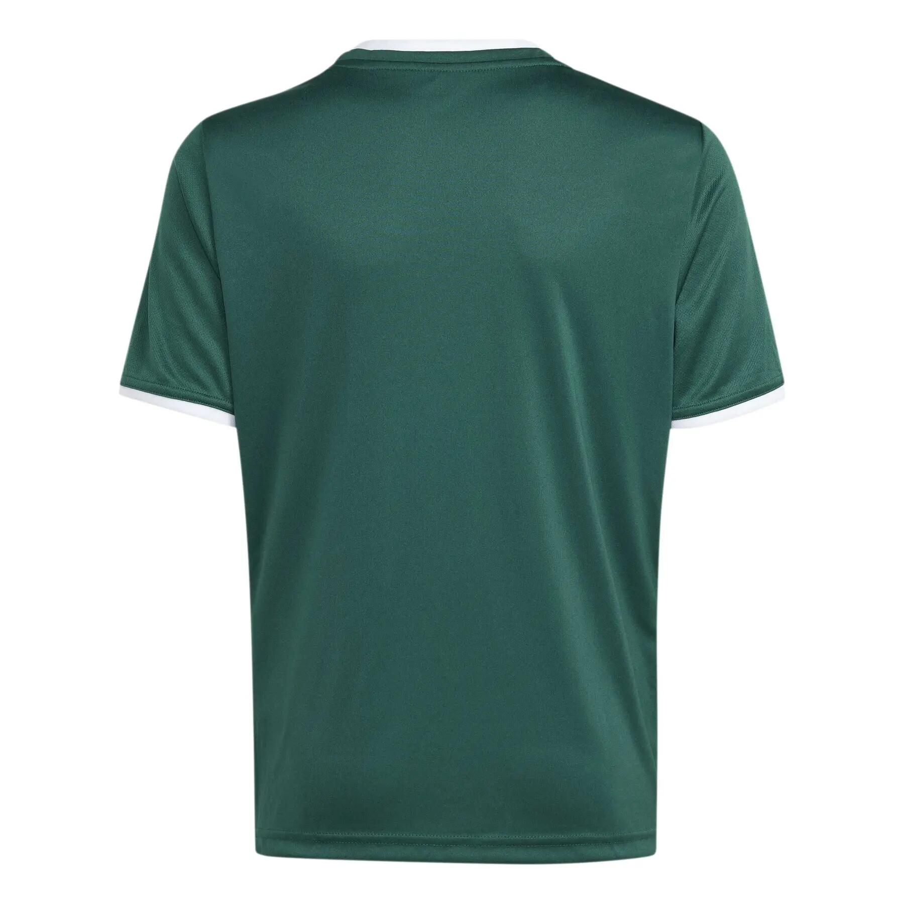 adidas Kinder Trikot Entrada 26 Jersey Y 2/8