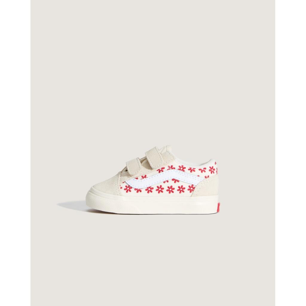 VANS picture