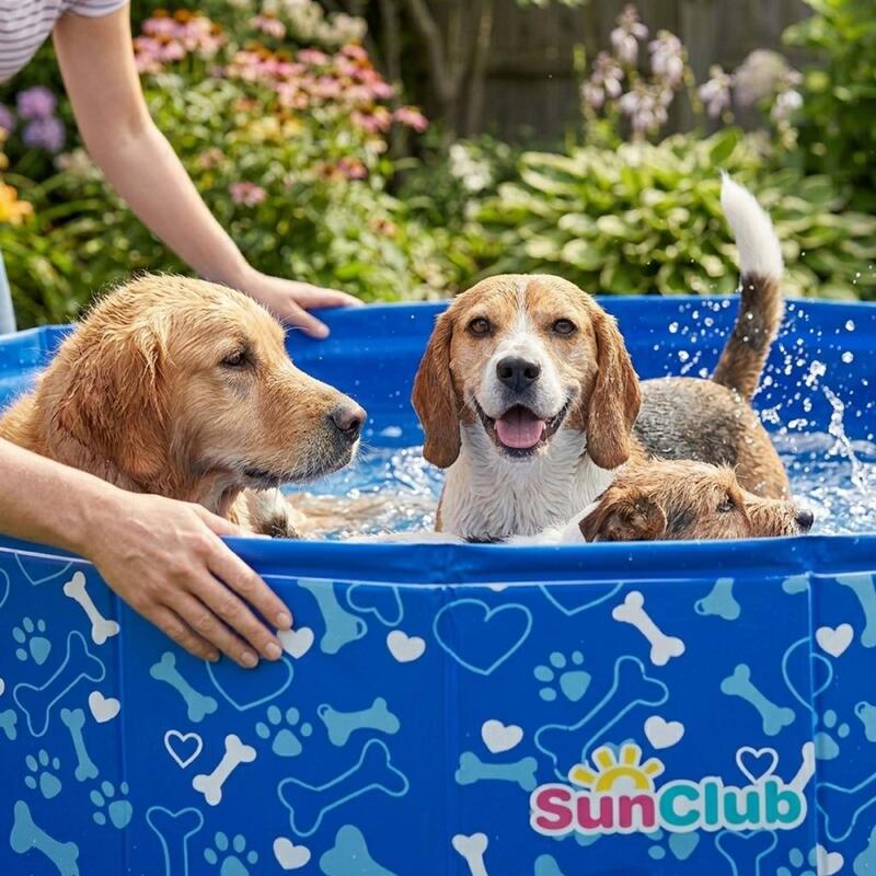 Jilong Katlanabilir Köpek Havuzu – 120 cm x 30 cm  51144S