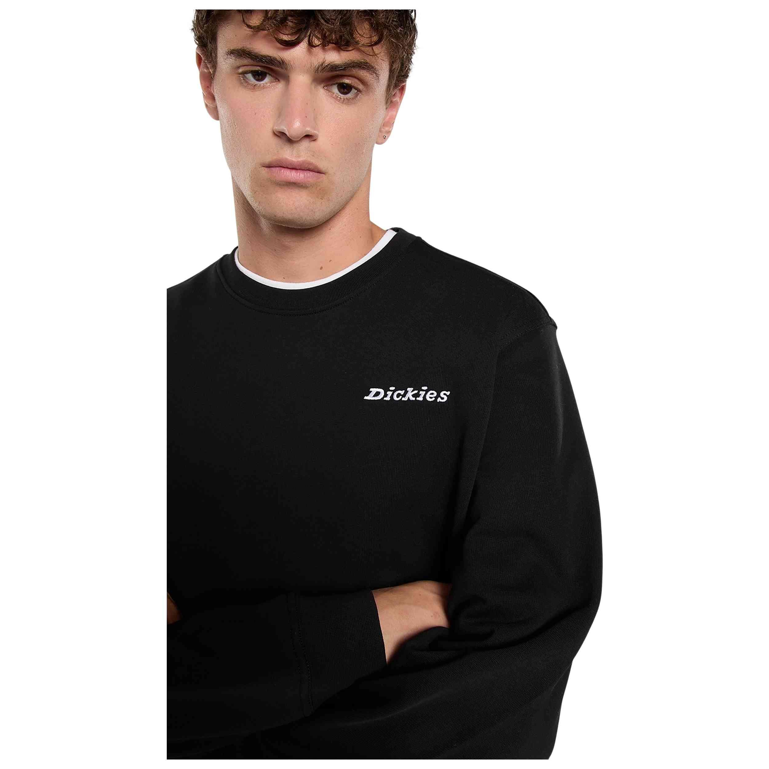 Felpa Dickies modello Loretto per uomini 4/5
