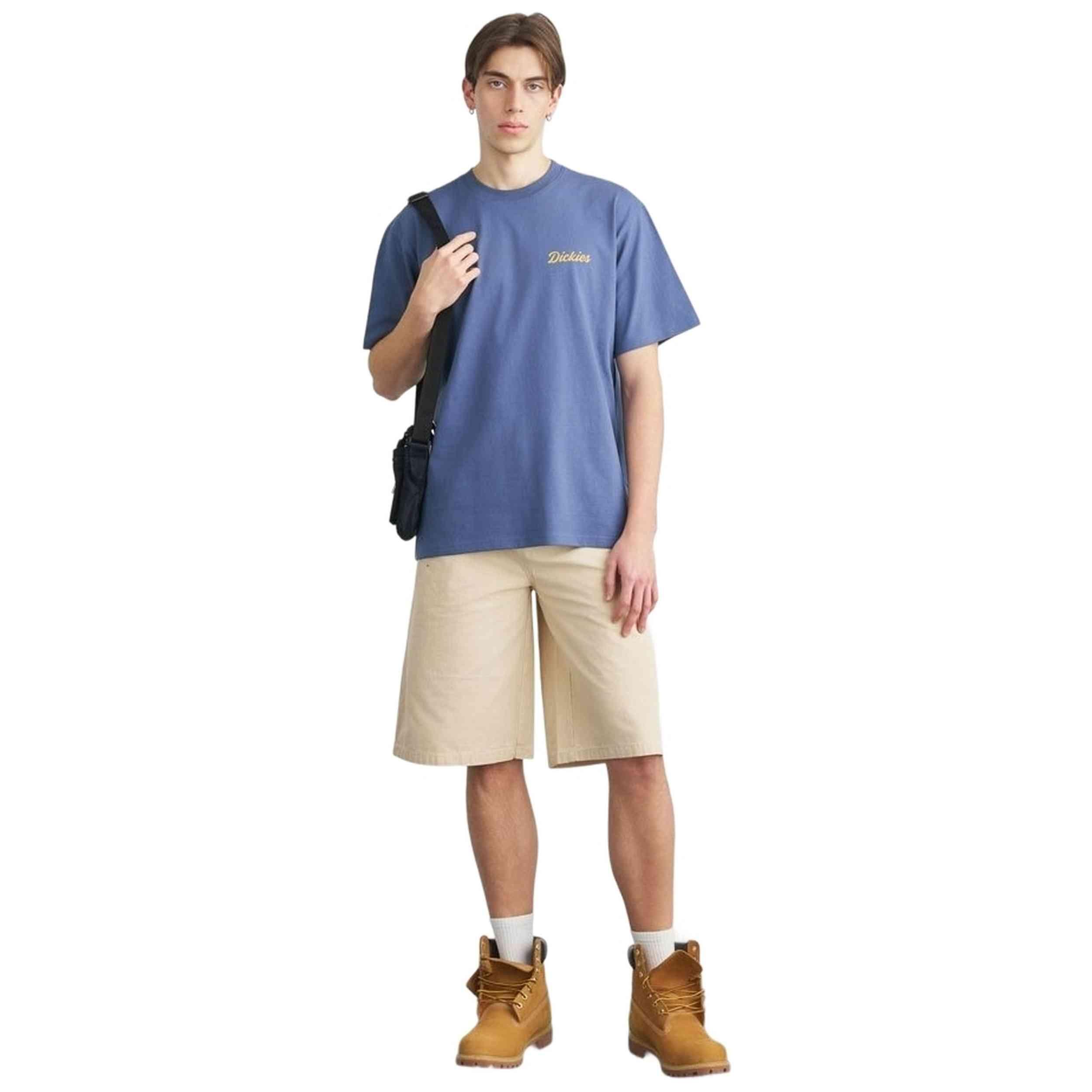 T-shirt met korte mouwen Dickies model DK0A8886RI21 voor mannen 2/3
