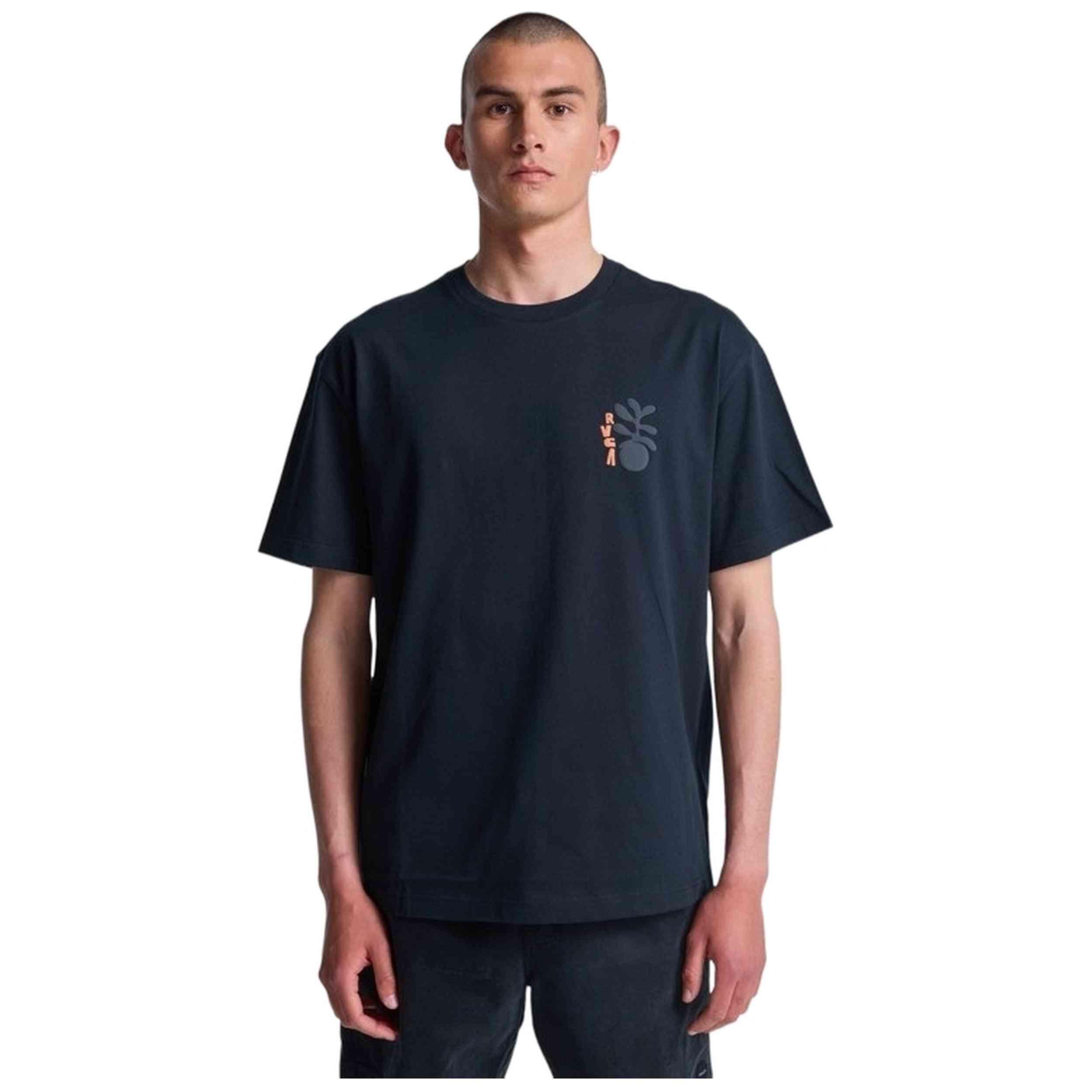 RVCA picture