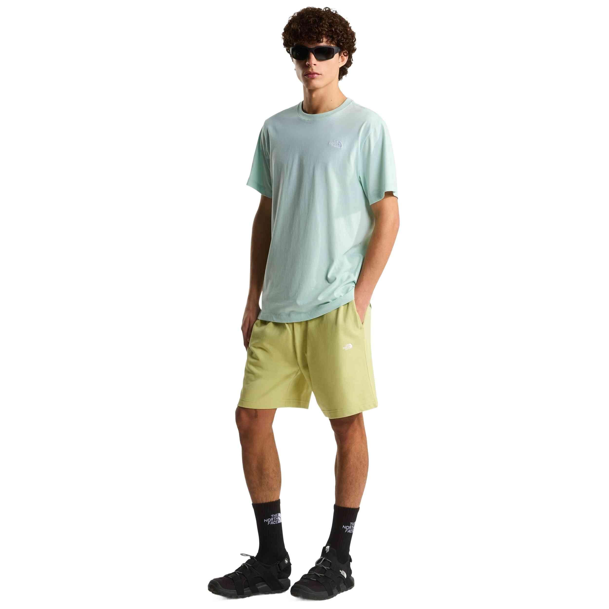 T-shirt The north face modèle NF0A8CZ2G701 pour homme 2/5