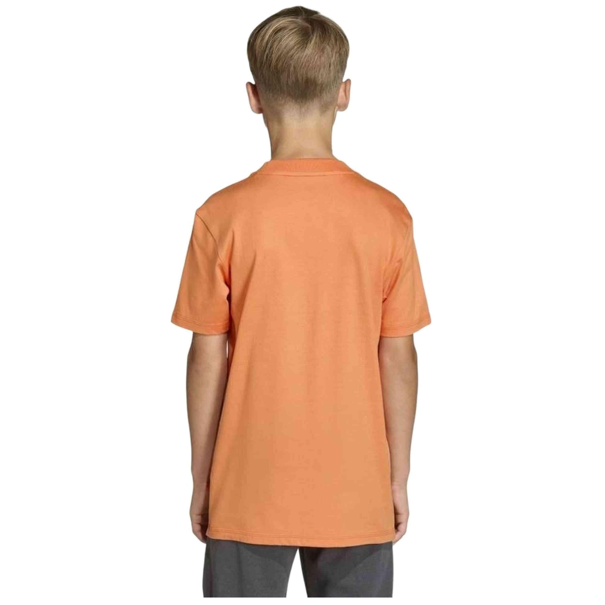 Camiseta de manga corta Adidas modelo J BL TEE 160 para niños 2/5