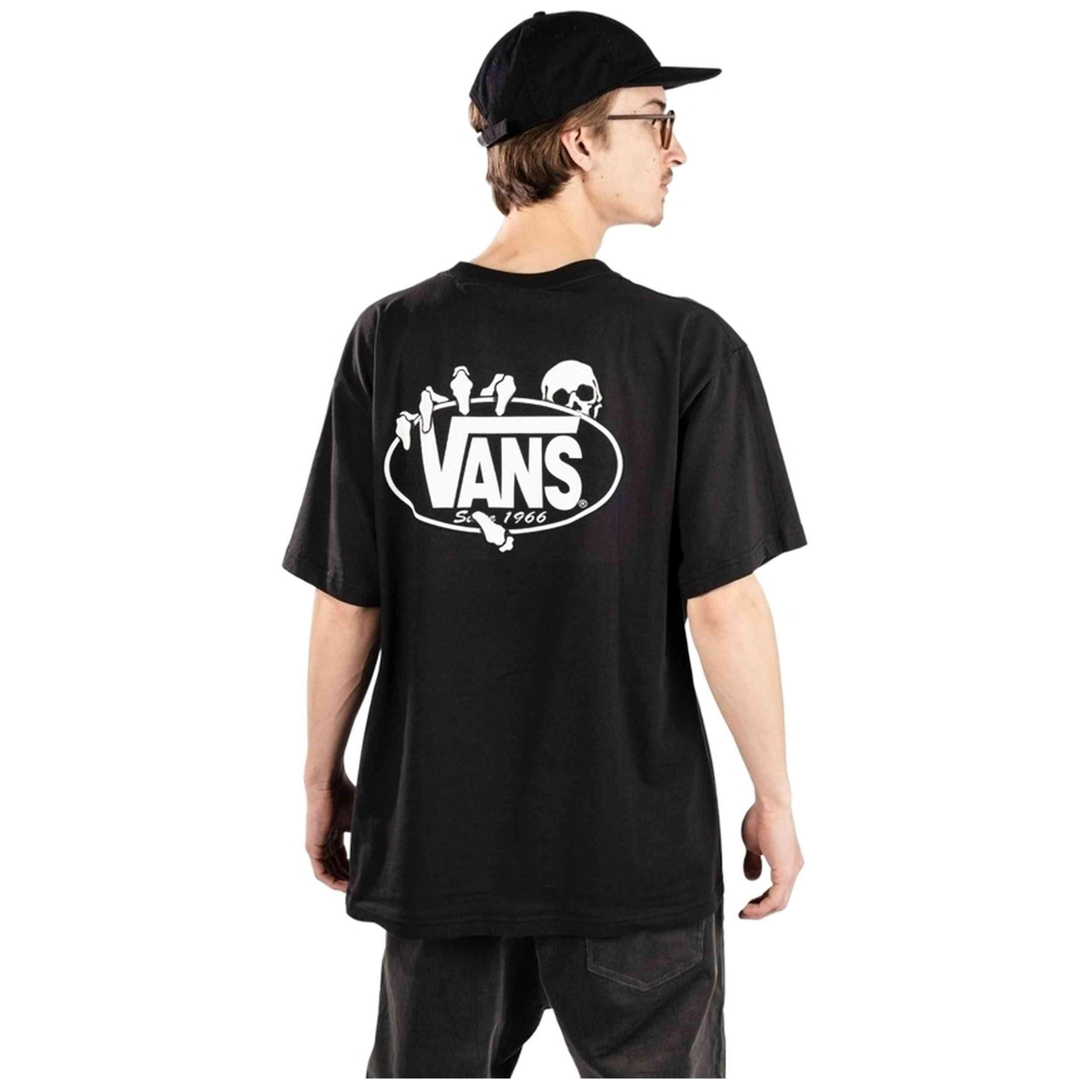 VANS picture