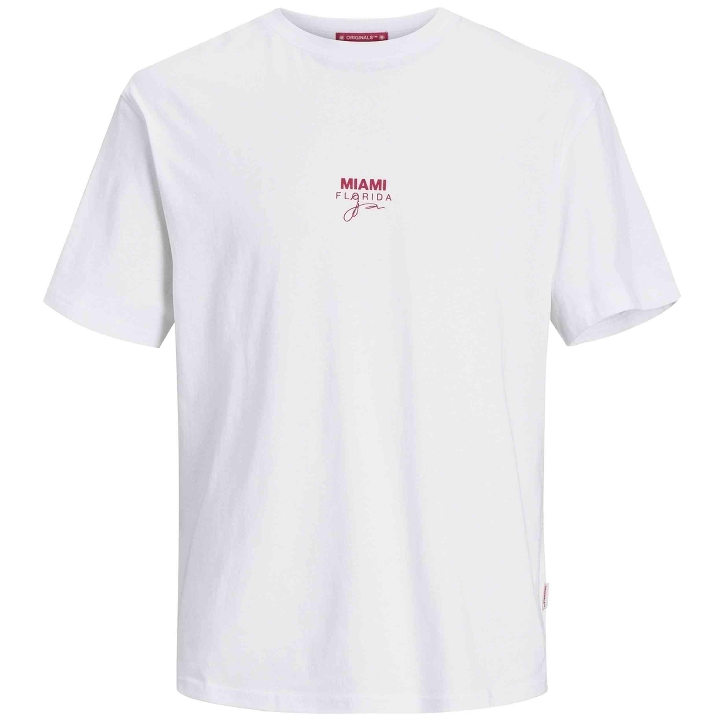 T-shirt Jack&jones modèle JORARUBA GRADIENT BACK TEE SS pour homme 2/2