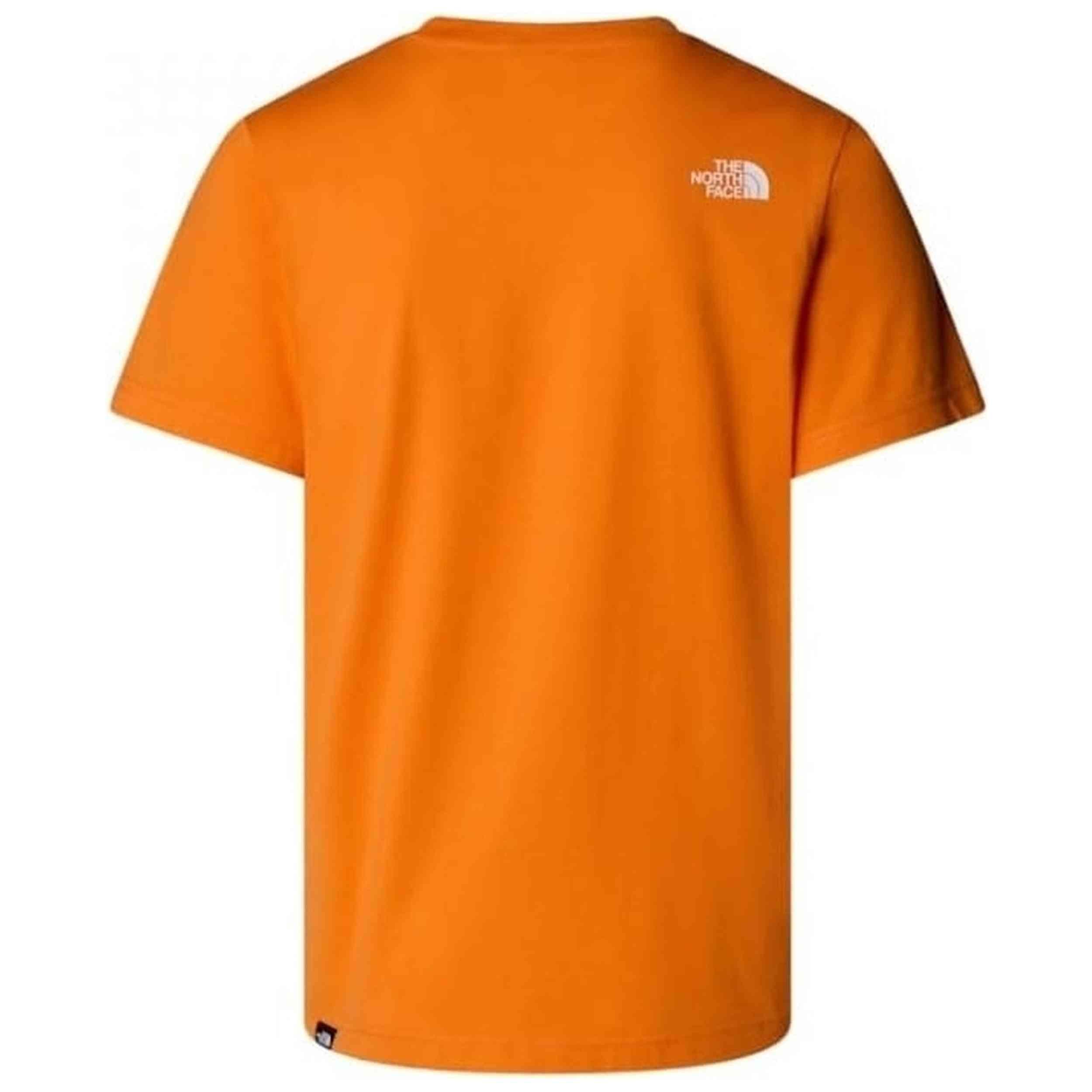 T-shirt The north face modèle 077-50748182462803 pour homme 2/2