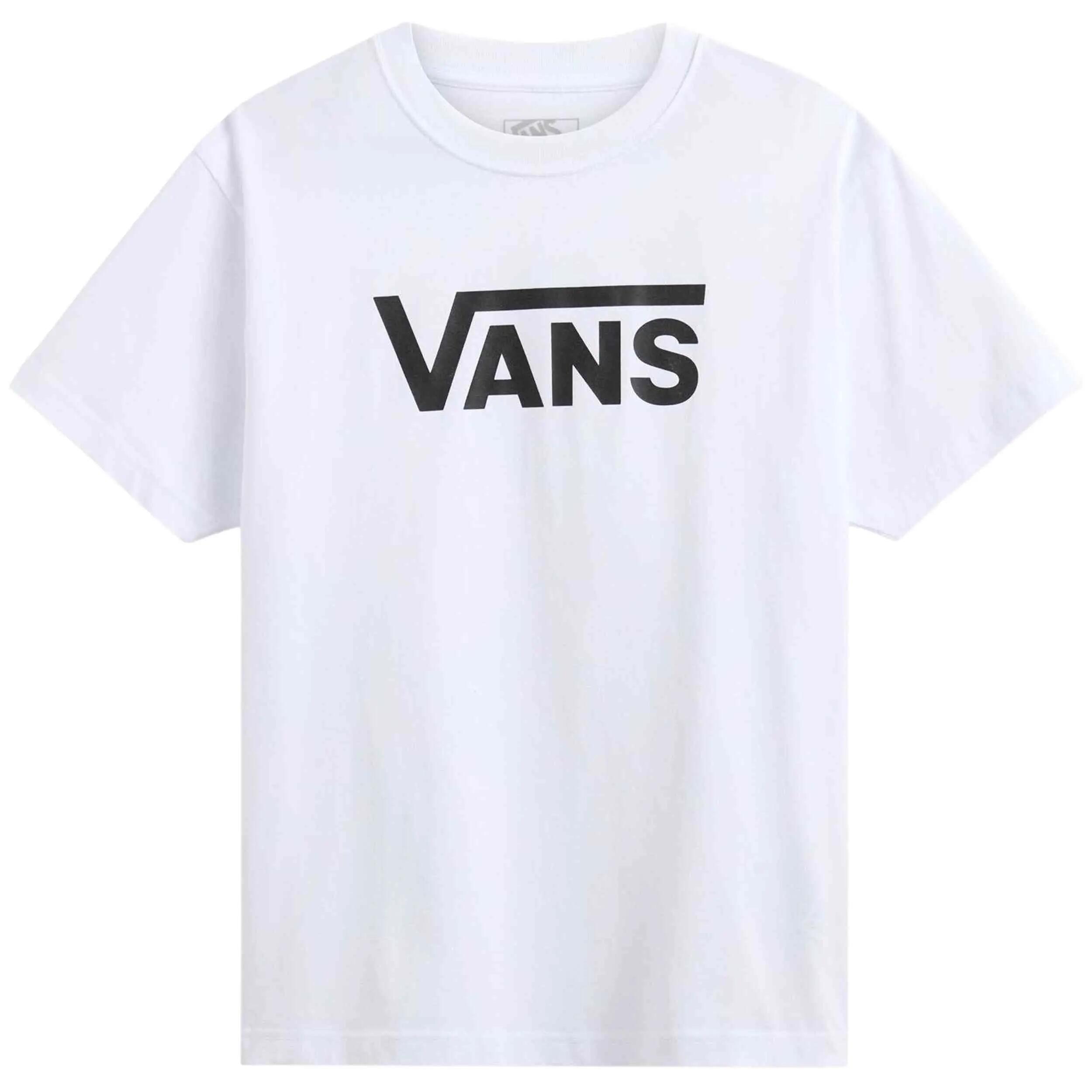 VANS picture