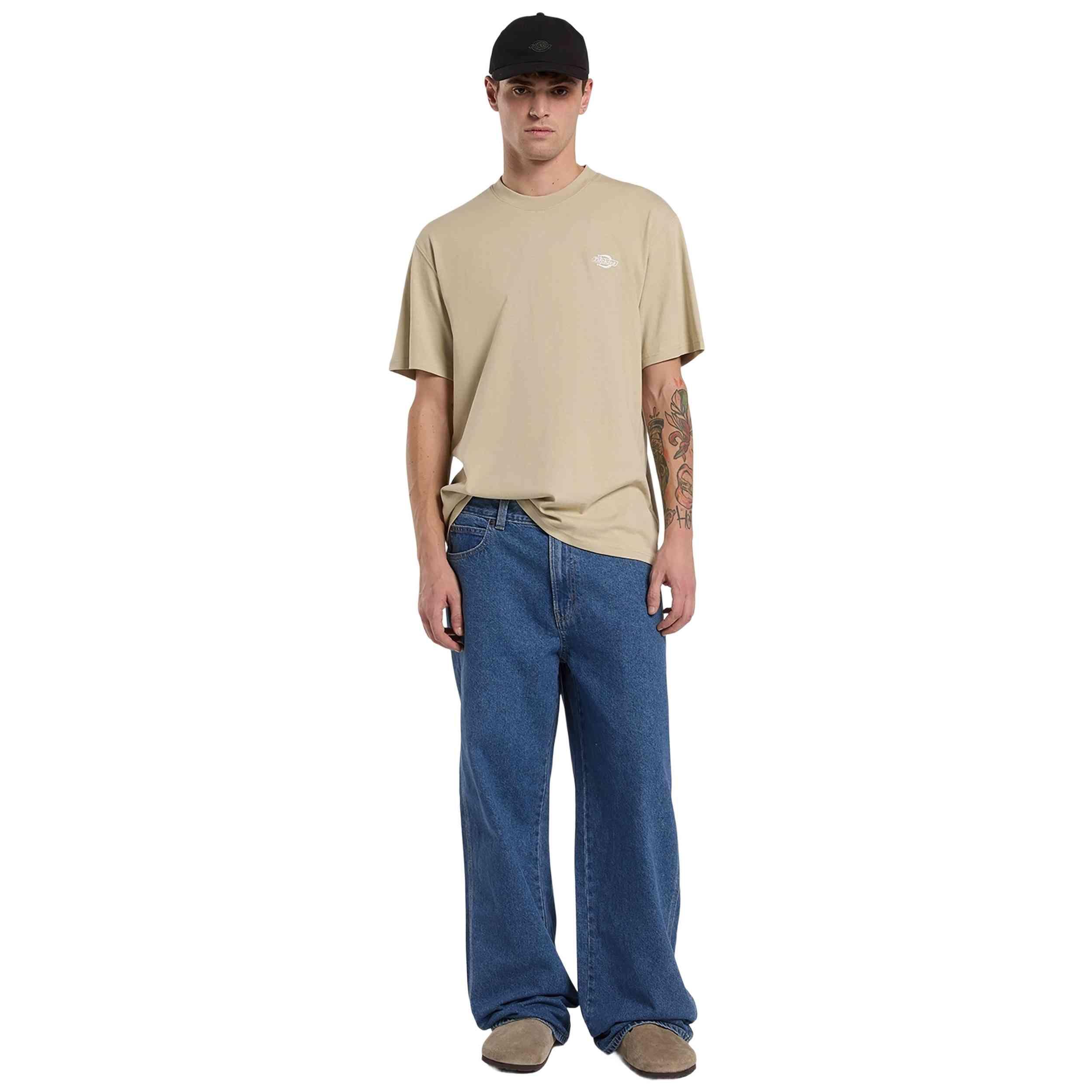 T-shirt met korte mouwen Dickies model Summerdale SS Tee voor mannen 2/5
