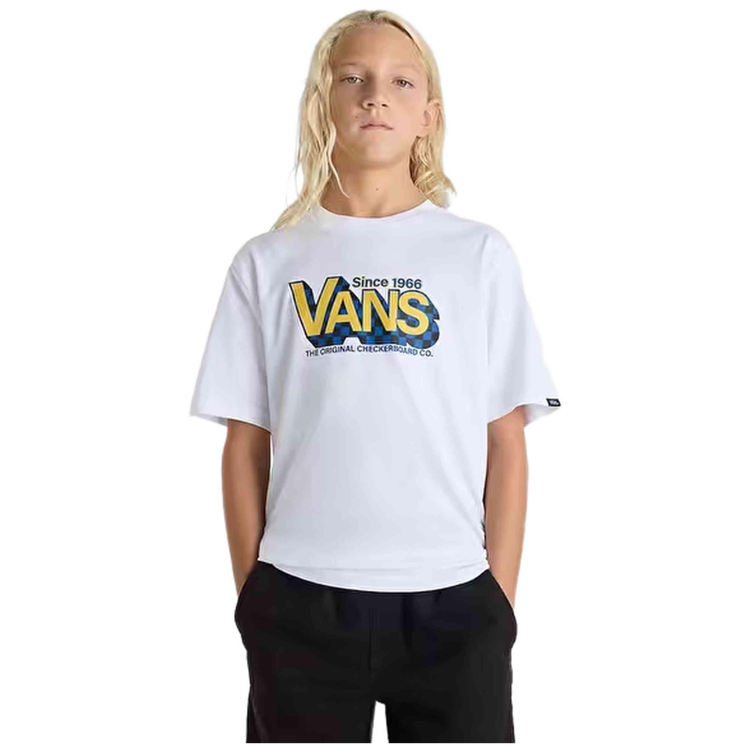 VANS picture