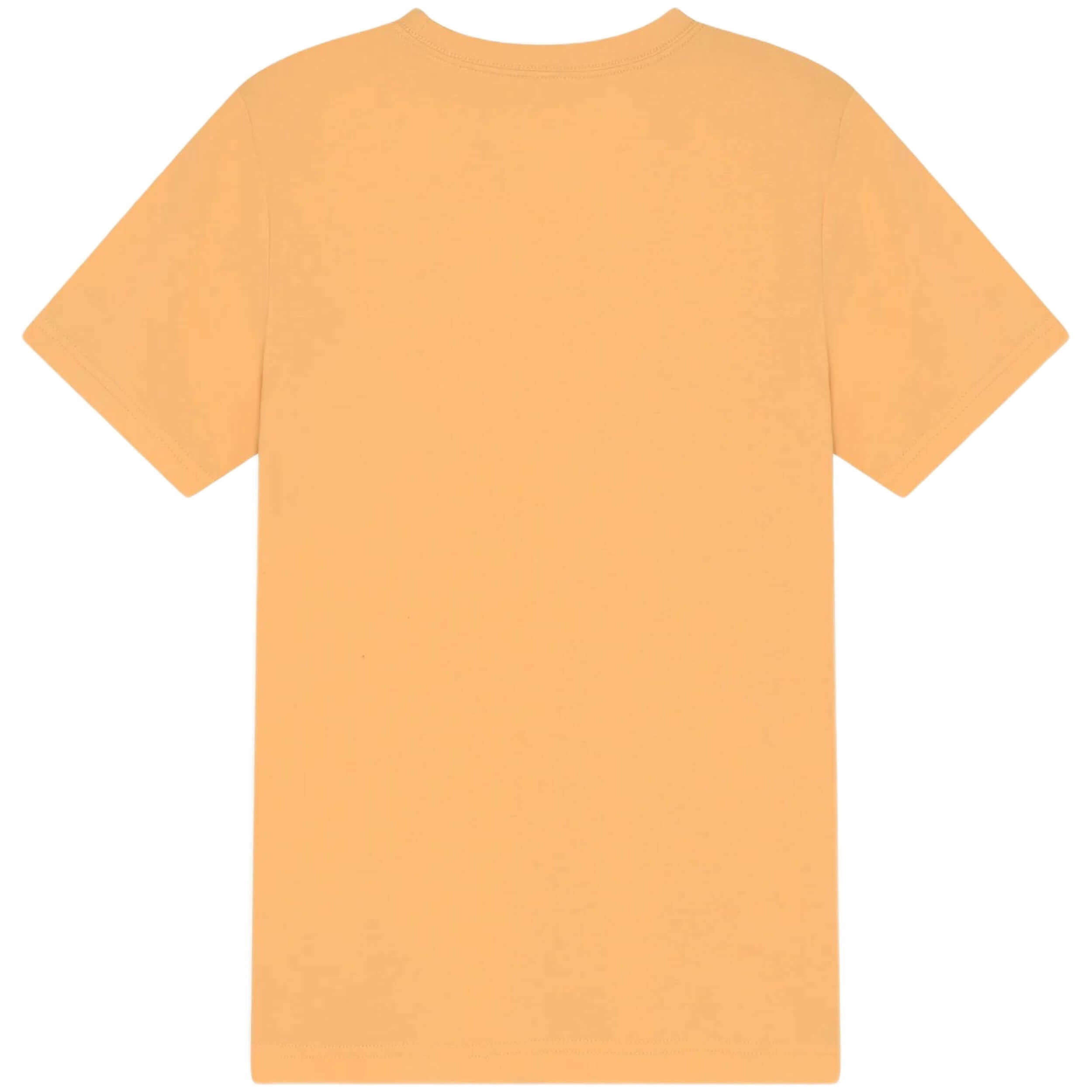 T-shirt met korte mouwen Jordan model 95A873-Y59 voor jongens 2/3