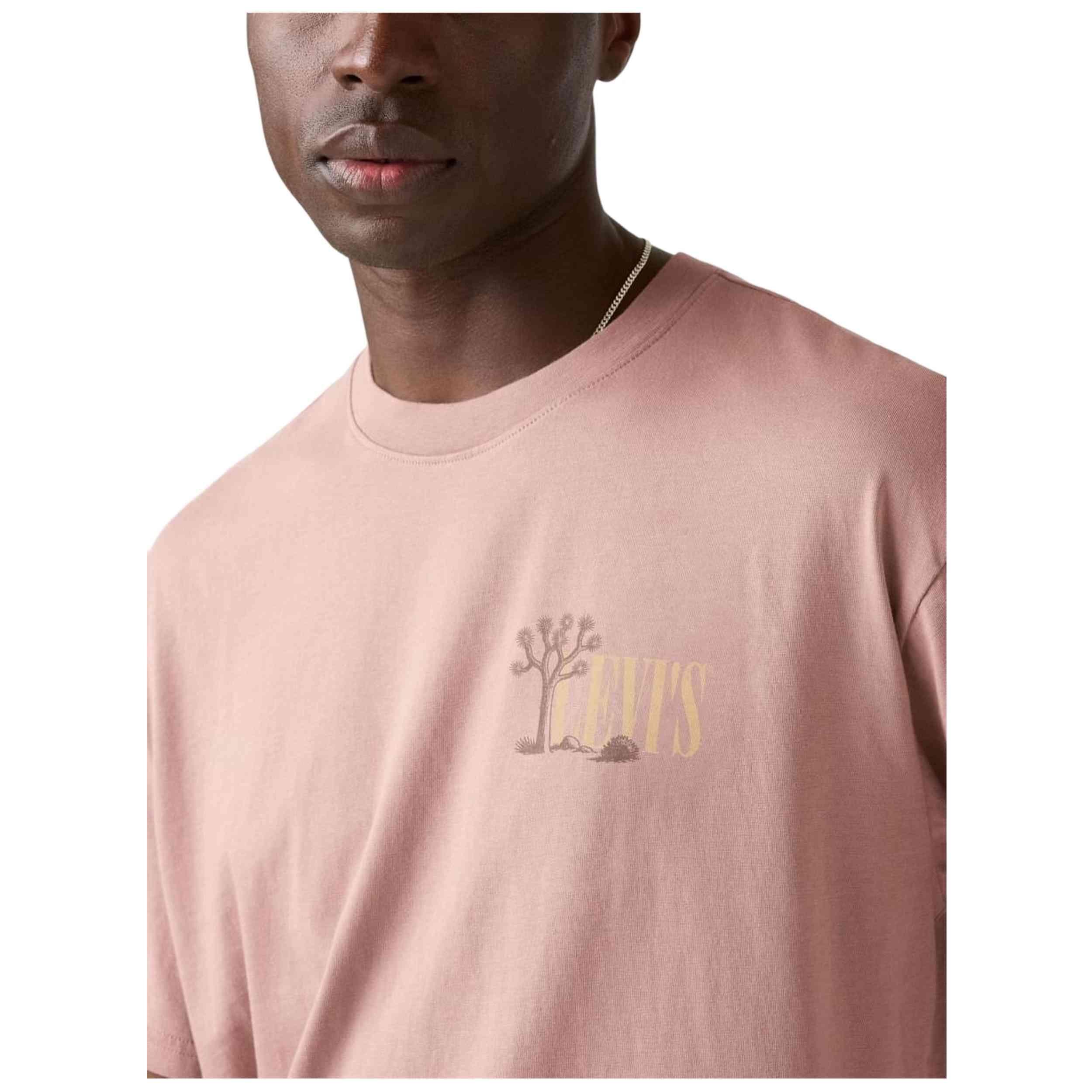 T-shirt Levi's modèle 004H0-0027 pour homme 5/5
