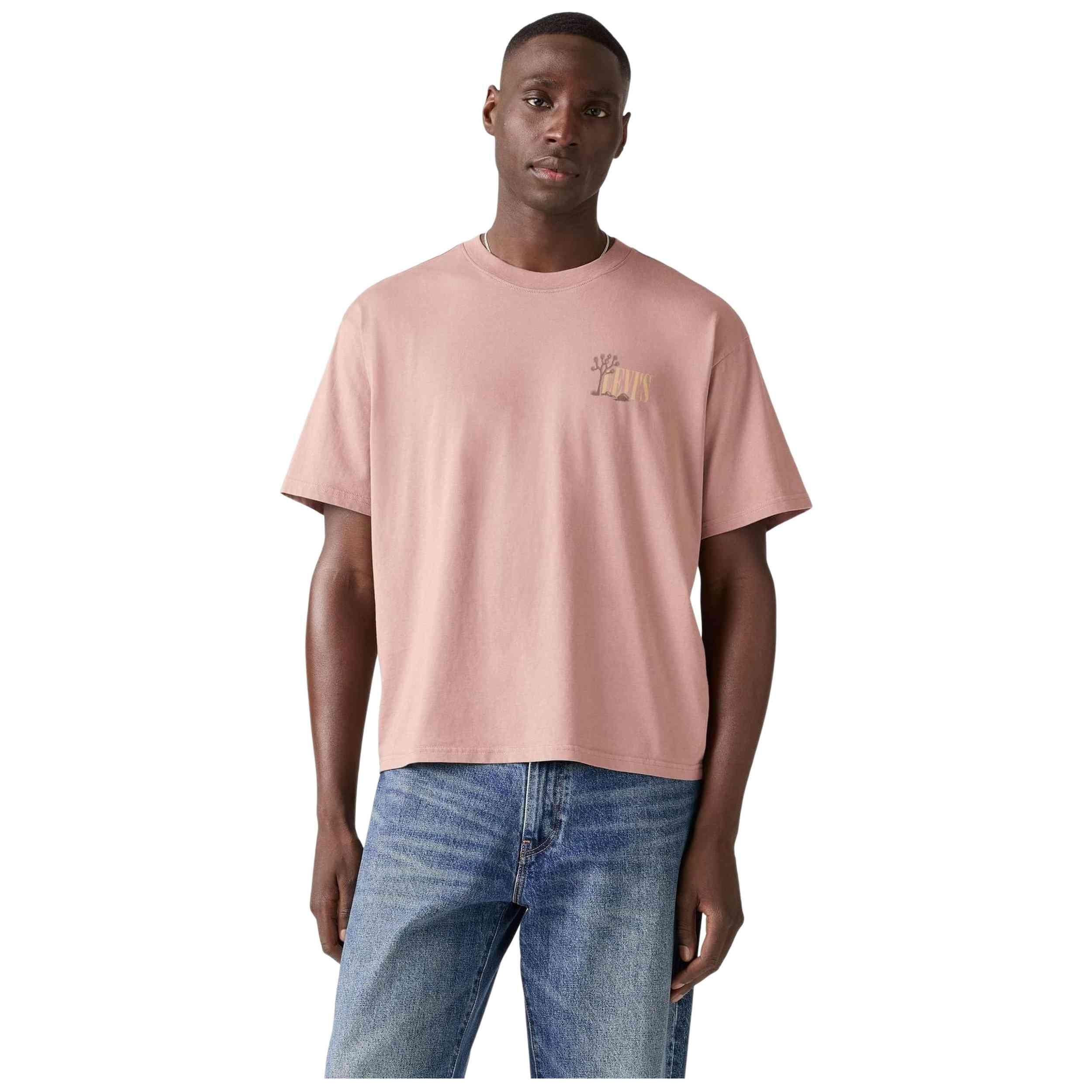 T-shirt Levi's modèle 004H0-0027 pour homme 4/5